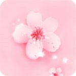 无限观看视频免费高清下载