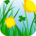 成品短视频软件网站大全APP最新版